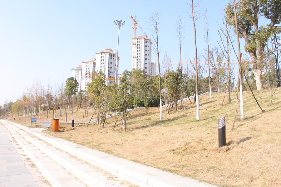 IMG_1687 - 副本.jpg