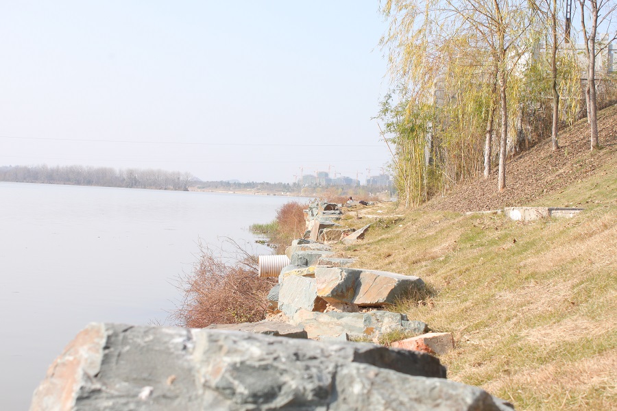 IMG_1708 - 副本.jpg